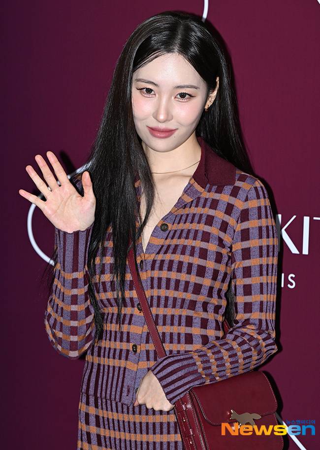 선미 /사진=뉴스엔DB