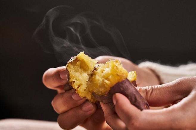 올겨울 고구마 한 개를 선택할 때도 ‘맛’뿐 아니라 품종, 조리법, 안전까지 고려해야 하는 이유가 있다. 게티이미지