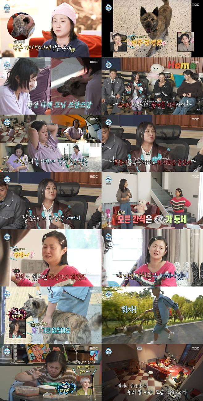 나 혼자 산다, 박나래 견주 최고 5.5% (사진=나혼산)