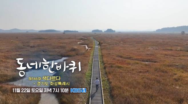 346화 '동네 한 바퀴' 화성 사강시장 생낙지 연포탕 & 칼국수, 전곡항, 화성 조암시장 무청 김치 국수, 함봉산 폐목재 조명 공방, 화성 발안만세시장 고려인 만두(피고디), 궁평항 꽃게