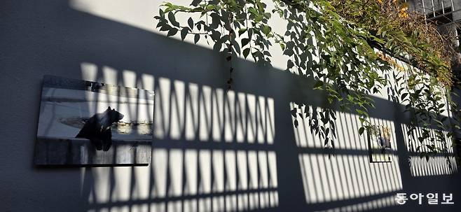 옛 철창이 그림자를 드리우는 전시 공간. 포천=김선미 기자 kimsunmi@donga.com