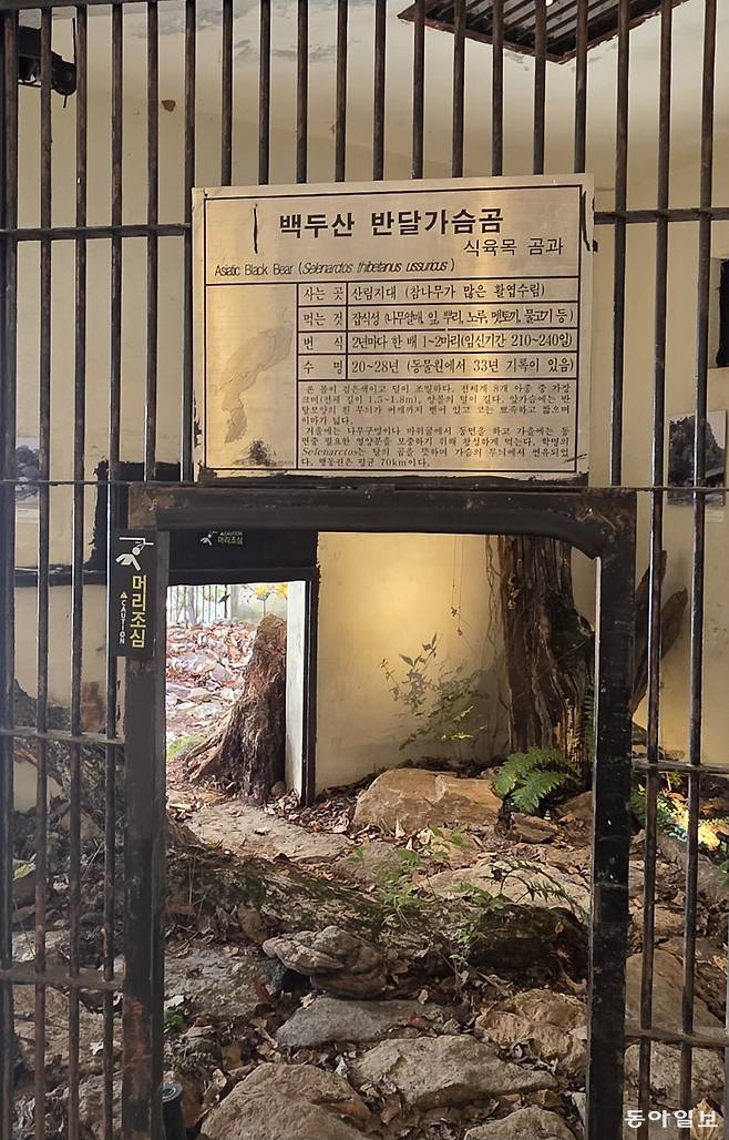 곰이 떠난 자리에 식물이 들어섰다. 포천=김선미 기자 kimsunmi@donga.com