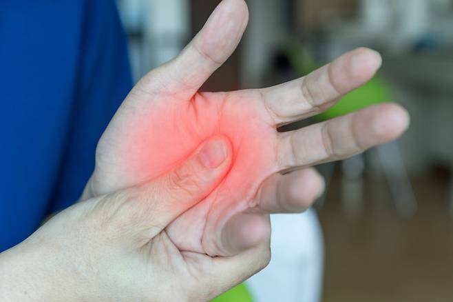 사진=게티이미지뱅크.