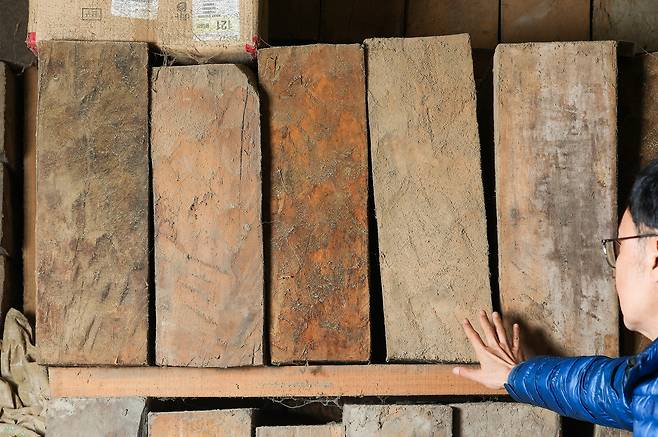 나무 건조장에서 건조중인 비자나무 원목. 국내에도 제주도 등에 비자나무가 있지만, 4계절이 뚜렷한 기후 속에 자란 원목은 바둑판의 재료로 적합하지 않은 것 같다고 신 본부장은 말했다.