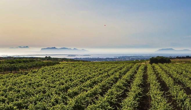 이탈리아 시칠리아 칸티네 파올리니 와이너리 전경. 사진=이랜드리테일 제공