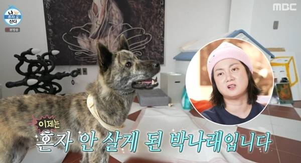사진=MBC 나 혼자 산다 캡처
