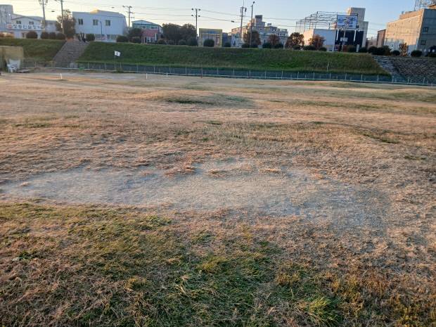 파크골프장의 고르지 못한 땅을 좀 더 개선해야 한다는 지적이 많다. 사진=이기암기자