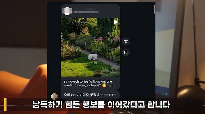 독일인 A 씨가 한국인 남성에게 보낸 성희롱 메시지. 출처=이진호 유튜브 채널