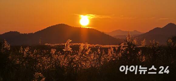지난 22일 저녁 전남 순천만 습지 들녁 위 하늘에 노을이 붉게 물들고 있다. [사진=임승제 기자]