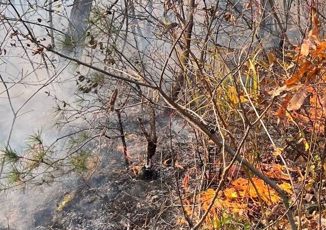 의성군 구천면 장국리 산불 현장. 의성군