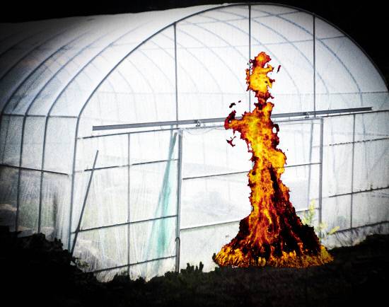 하미옥 作 '비닐하우스 태우기'.