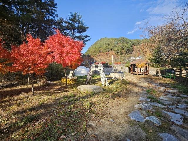 승부리 투구봉 쉼터공원의 가을 전경. 붉게 물든 단풍나무와 호랑이 조형물이 어우러져 독특한 분위기를 만들고 있으며 뒤편의 하얀 이글루형 구조물과 정자가 조용한 쉼터 풍경을 완성한다. 석포면 제공