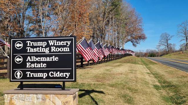 12일 찾은 미국 버지니아주 샬러츠빌의 ‘트럼프 와이너리’ 입구. 진입로 초입까지 627번 주도를 따라 1㎞ 넘게 성조기 수백 개가 울타리에 꽂혀 있다. 샬러츠빌=권경성 특파원