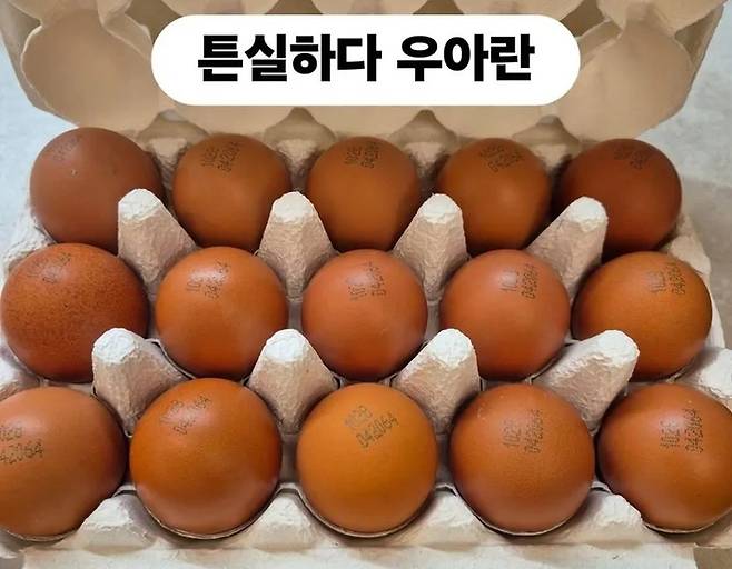 방송인 이경실이 판매한 ‘우아란’ 제품. 프리미엄 계란이라고 홍보했지만 실제로는 열악한 사육환경에서 생산되는 난각번호가 찍혀 있다. [조혜련 스레드 갈무리]