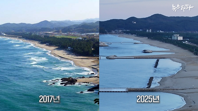 ▲ 강원도 삼척시 맹방 해변의 2017년(왼쪽) 모습과 2025년 모습(오른쪽)