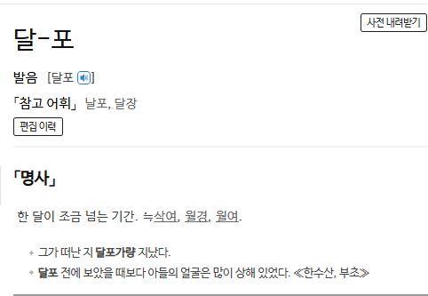 달포에 대한 사전의 정의 표준국어대사전 캡처