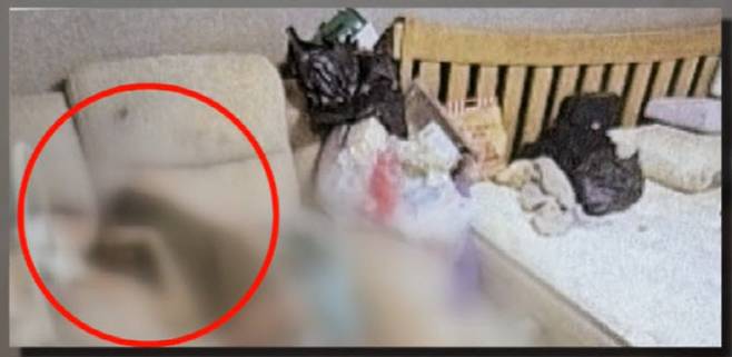 유족이 공개한 '구더기' 아내가 발견된 장소다. (사진=JTBC 캡처)