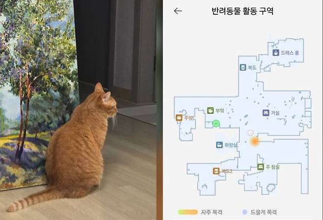 고양이가 가장 자주 출몰하는 공간(좌). 어플 상 지도에 노란 점으로 해당 지점이 표기된 모습(우).ⓒ임채현 기자