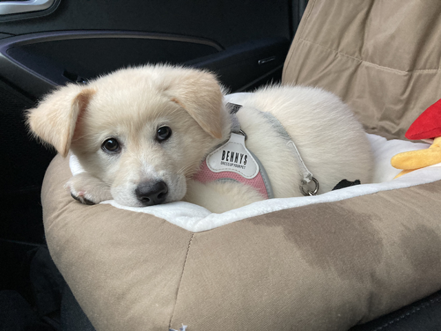 쭈니의 어린 시절! 보호자 제공