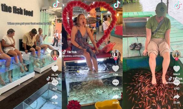 최근 미국 틱톡에서 ‘피시 페디큐어’ 트렌드가 확산하고 있다/사진=SNS 갈무리