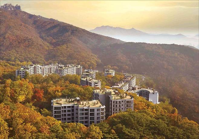 한화호텔앤드리조트에서 인수해 ‘안토’로 이름을 바꾼 파라스파라.