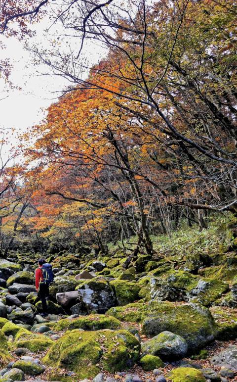 한라산 둘레길 1구간