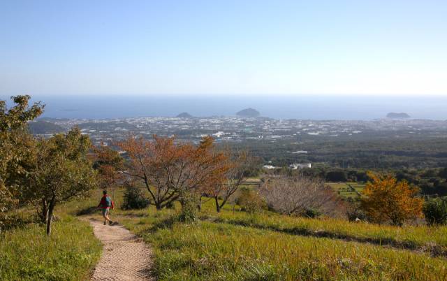 4구간 동백길이 끝날 무렵 남쪽으로 시야가 트였다. 제주도 남쪽 바다와 서귀포 시내가 보인다. 김도훈 기자