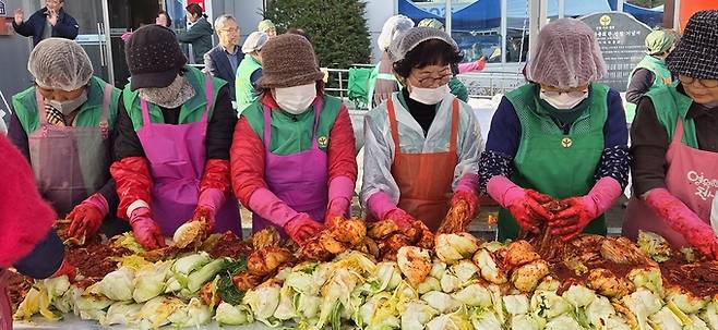 ▲ 26일 영천시새마을부녀회원들이 새마을회관 앞마당에서 열린 사랑의 김장 나누기 행사에서 배추에 양념을 버무리며 김장김치를 담그고 있다. 권오석 기자