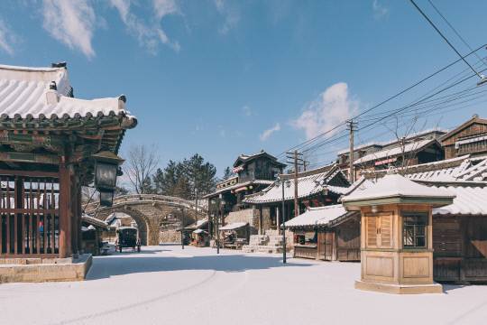논산시 선샤인랜드 전경. 충남도 제공.