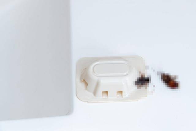 게티이미지뱅크