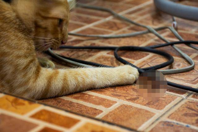 게티이미지뱅크