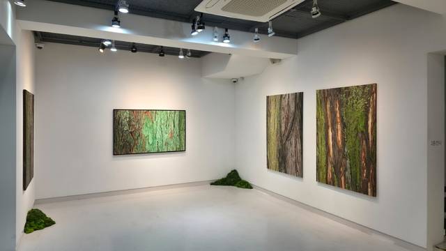 박예진 작가 개인전 '머무르는 것들' 전시장 모습. 갤러리제이원 제공