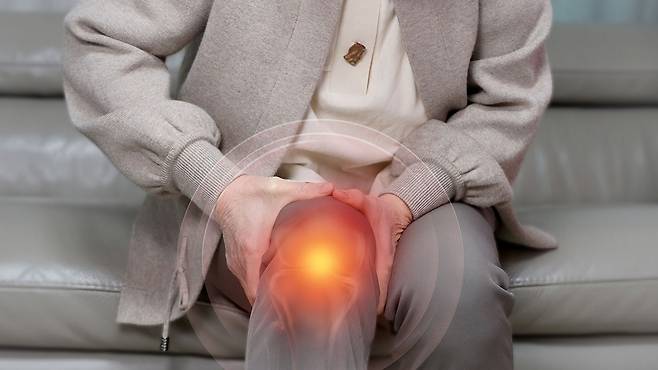 연골판 손상을 방치하면, 관절염으로 이어질 수 있다｜출처: 클립아트코리아