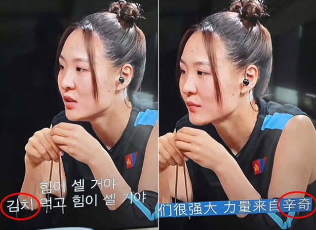 서경덕 성신여대 교수가 넷플릭스 예능 '피지컬: 아시아'의 중국어 자막 표기를 언급했다. 서경덕 SNS