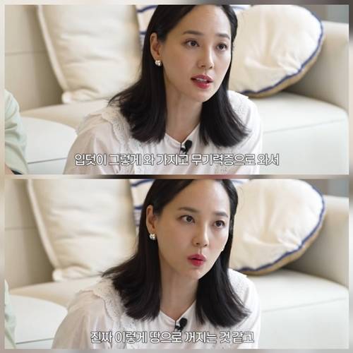 사진=유진vs태영