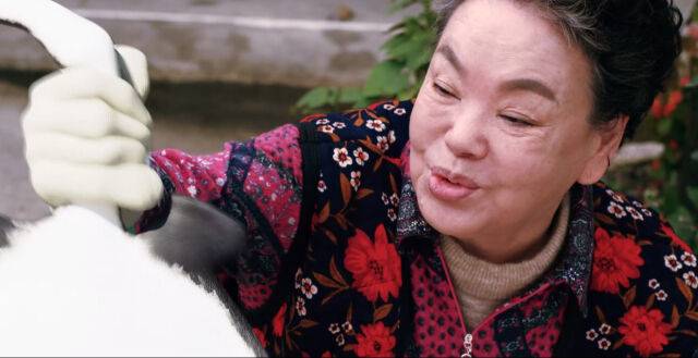 영화 '홍어의 역습' 스틸/시네마 뉴원