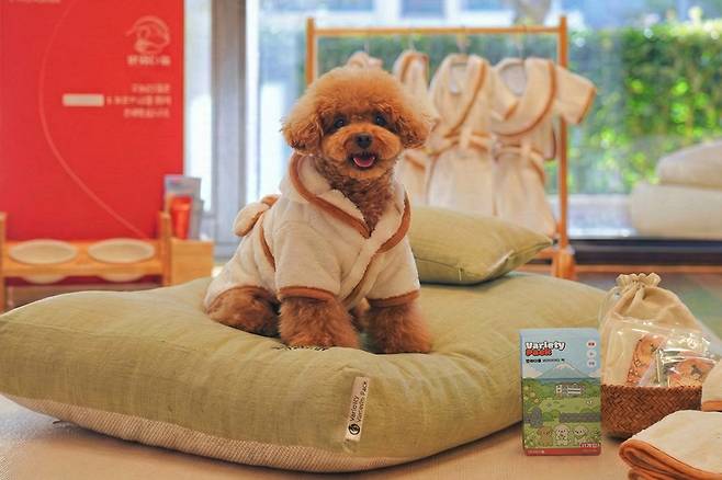 제주신화월드 ‘디어 마이 펫밀리’ 모델 댕댕이