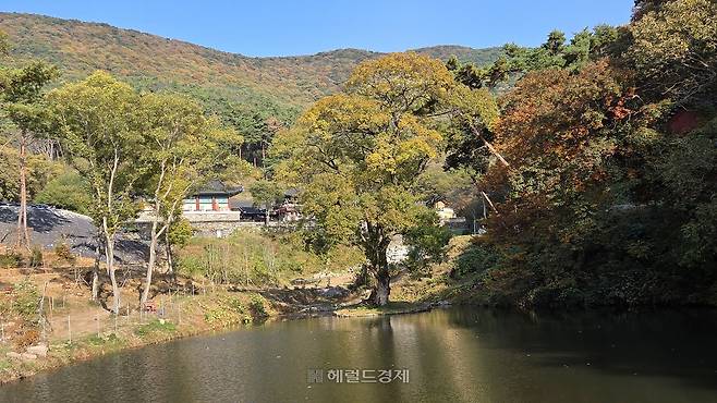 일주문 옆에 있는 연못인 학영지