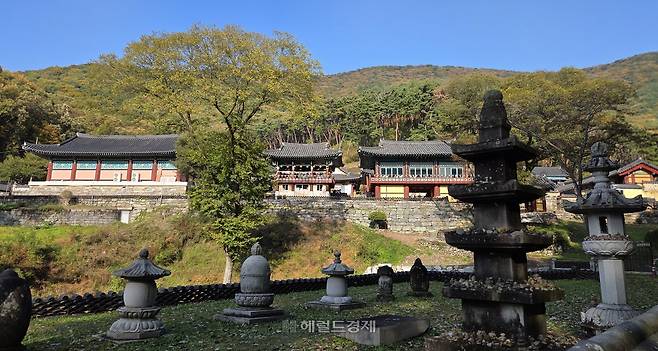 고승들의 부도탑군