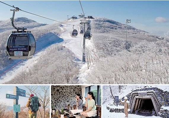 하이원 운탄고도 케이블카. 아래 사진 왼쪽부터 하늘길 트레킹, 네이처힐링존에서 진행되는 족욕 프로그램, 운탄고도에서 만날 수 있는 1177갱구. 강원랜드 제공