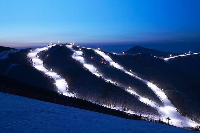하이원 스키장 야경