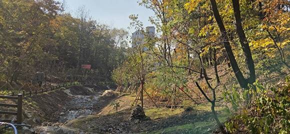 용인특례시가 수지구 죽전동에 조성한 '도시 숲' 모습. [사진=용인특례시]
