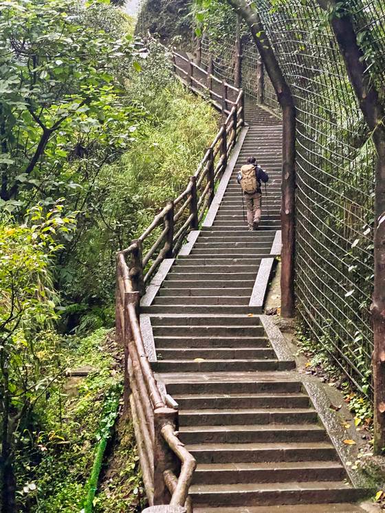 어메이산을 오르는 11시간 동안 계단 지옥에 갇혔다.