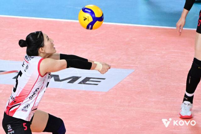 정관장 노란./KOVO