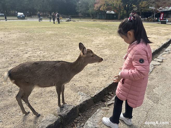 나라공원에서 아이가 사슴을 만나 인사한 후 과자를 건네고 있다. 황소영 기자 fangso@donga.com