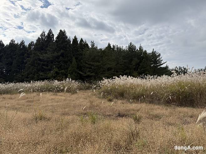 제주 삼다수 취수원 주변 자연.