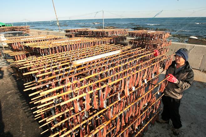 동백이가 머물렀던 포항 구룡포. 날이 추워지면 곳곳에 청어와 꽁치 말리는 풍경으로 겨울이 온 것을 실감한다.