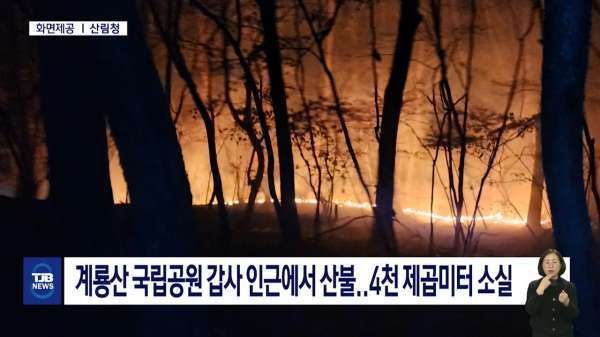 계룡산 국립공원 갑사 인근에서 산불..4천 제곱미터 소실