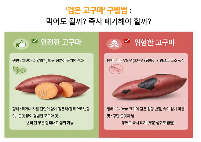 인포그래픽 최강주 기자, gamja822@donga.com