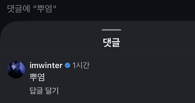 사진 | 인스타그램 캡처.